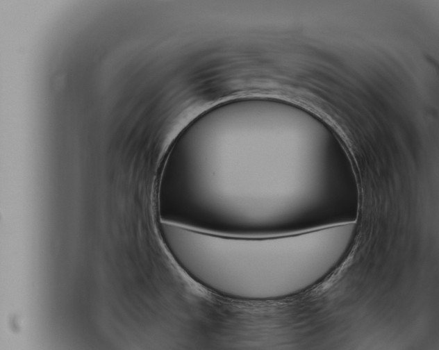 X0000093471533200710121000
