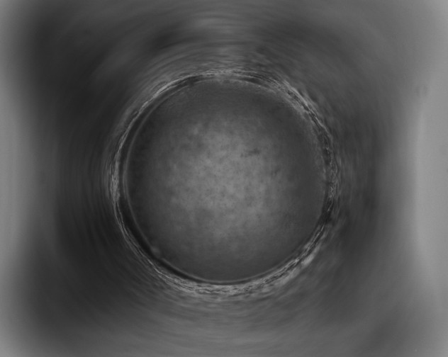 X0000093470002200710121433