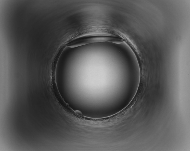 X0000093470010200710121433