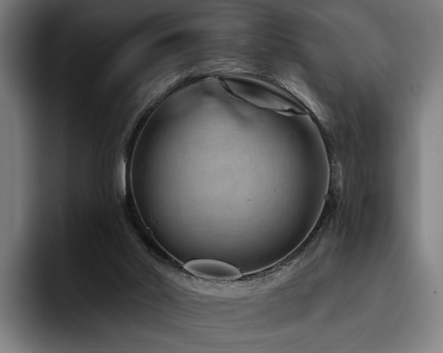 X0000093470014200710121433