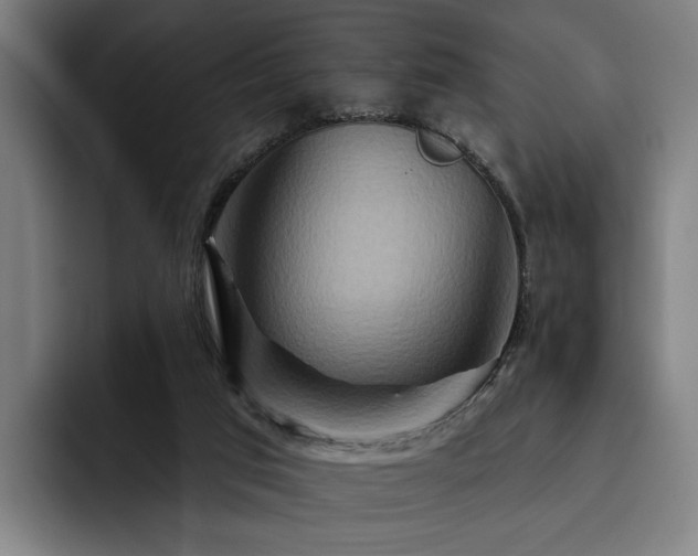 X0000093470017200710121433