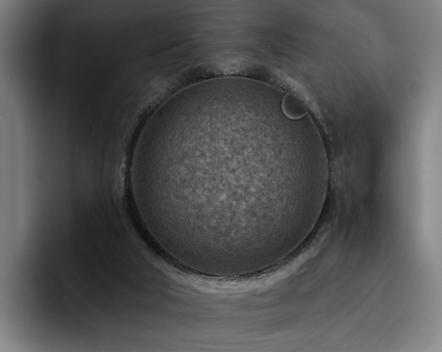 X0000093470018200710121433