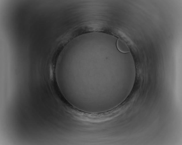 X0000093470026200710121433