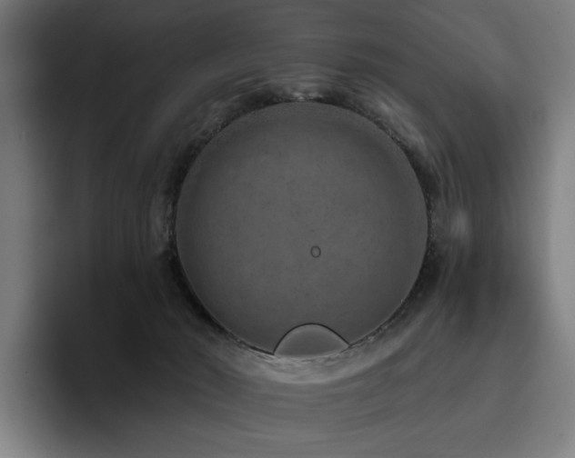 X0000093470030200710121433