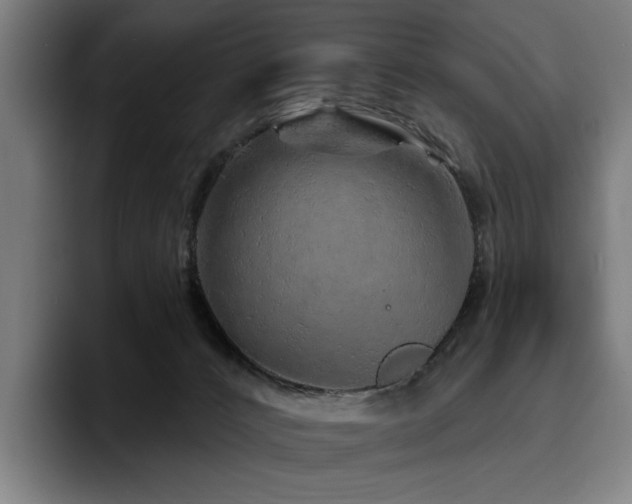 X0000093470032200710121433