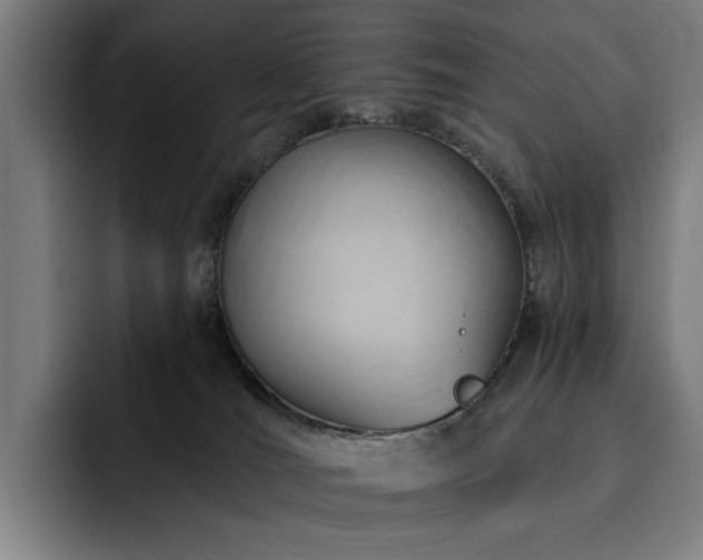 X0000093470036200710121433