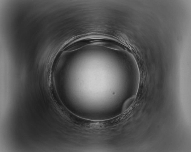 X0000093470050200710121432