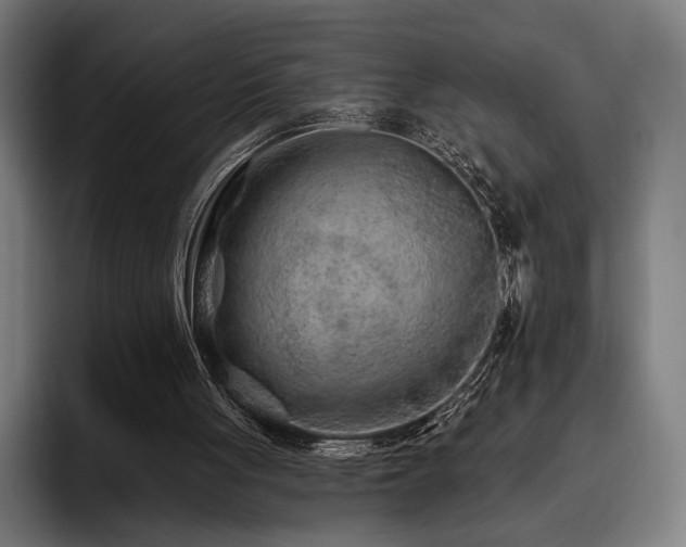 X0000093470051200710121432