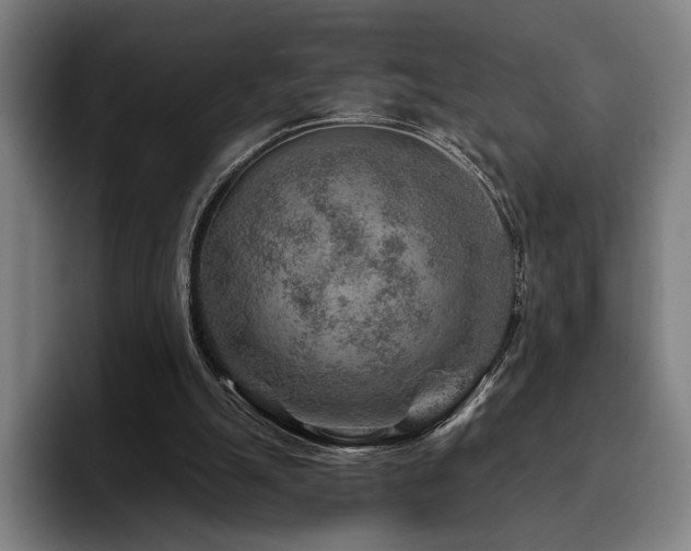 X0000093470055200710121432