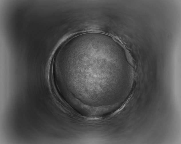 X0000093470056200710121432