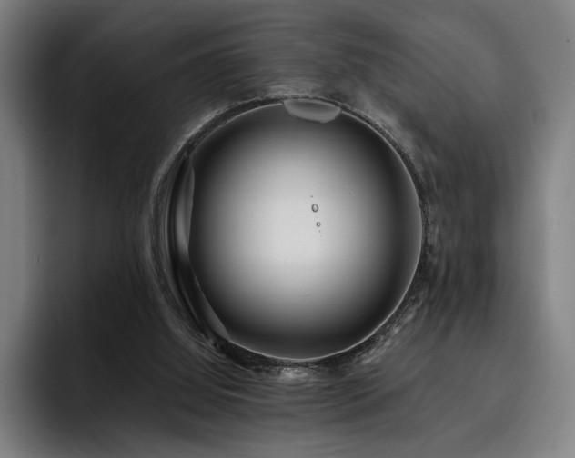 X0000093470060200710121432