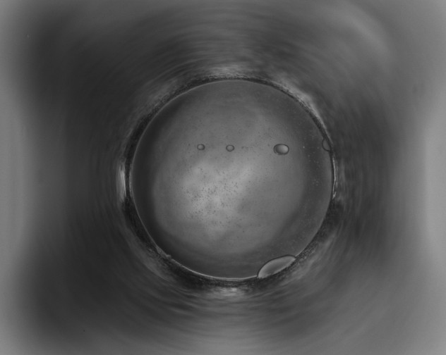 X0000093470061200710121432