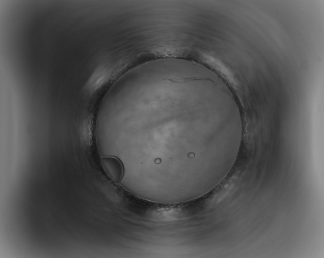 X0000093470065200710121432