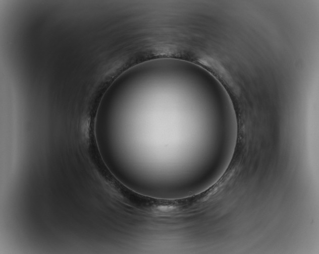 X0000093470066200710121432