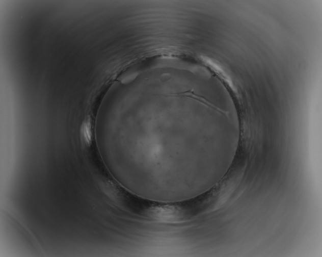 X0000093470069200710121432