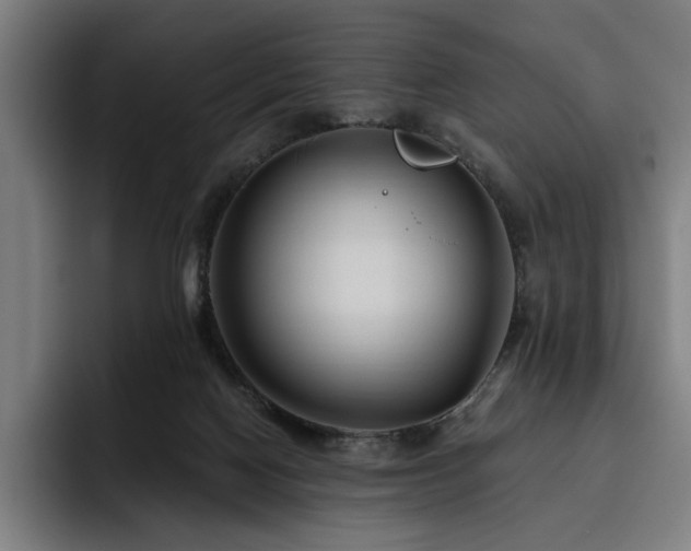 X0000093470074200710121432