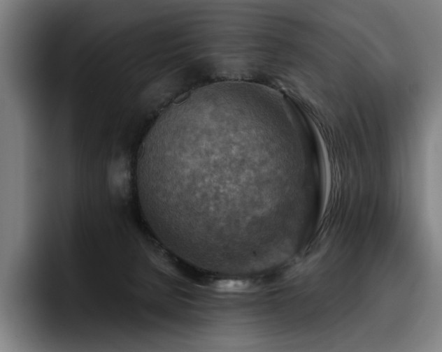 X0000093470080200710121433