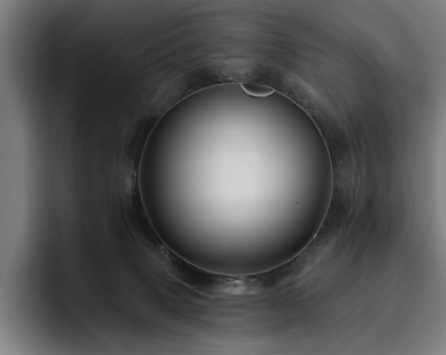 X0000093470083200710121433