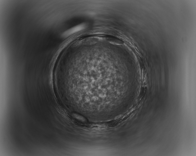 X0000093470099200710121432