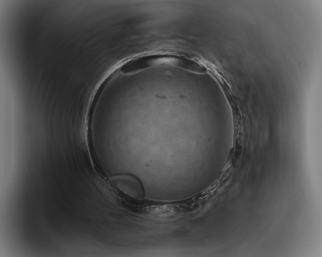 X0000093470100200710121432