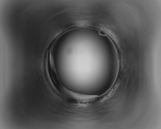 X0000093470105200710121432