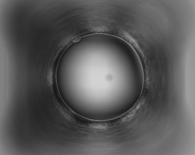 X0000093470106200710121432