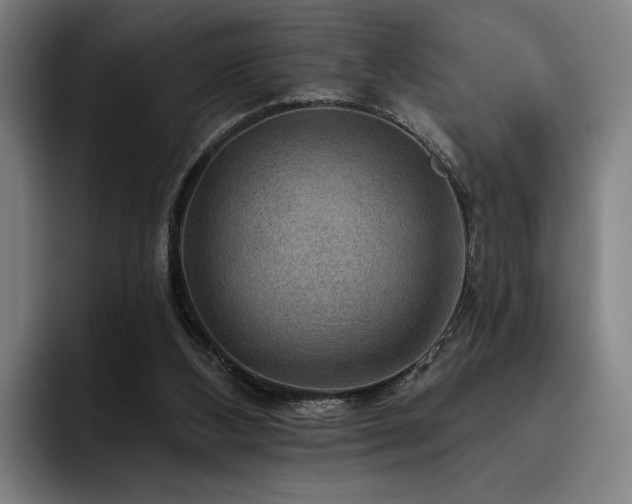 X0000093470108200710121432