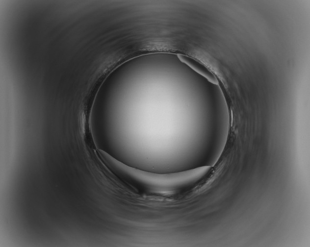 X0000093470109200710121432