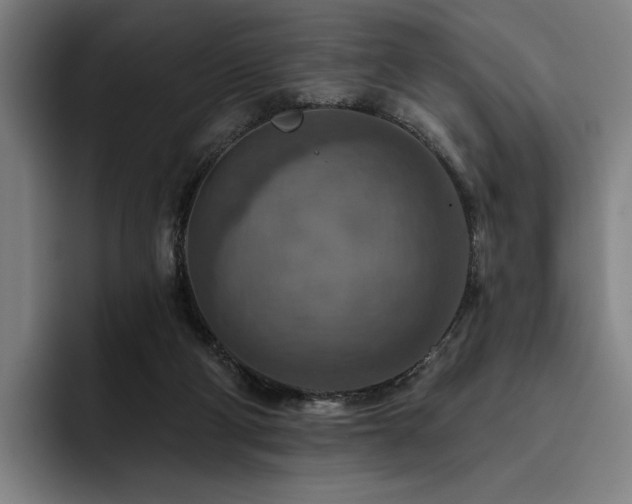 X0000093470114200710121432