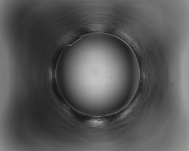 X0000093470117200710121432