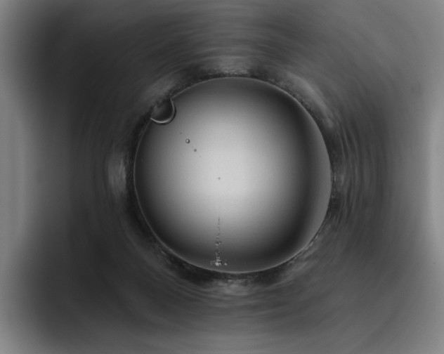 X0000093470120200710121432