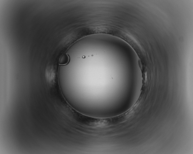 X0000093470124200710121432