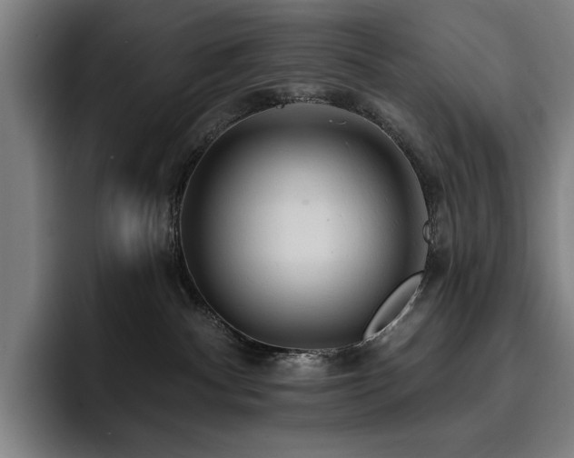 X0000093470140200710121432