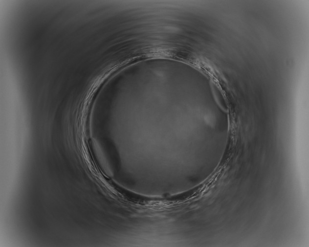 X0000093470145200710121431