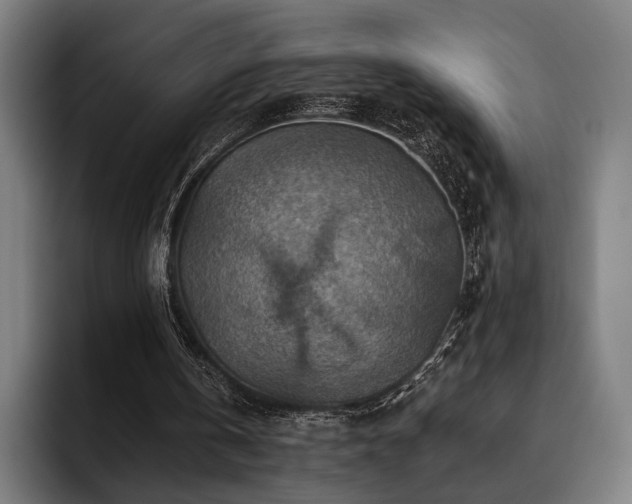 X0000093470146200710121431