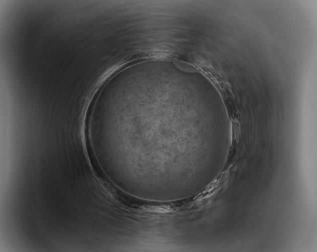 X0000093470147200710121431