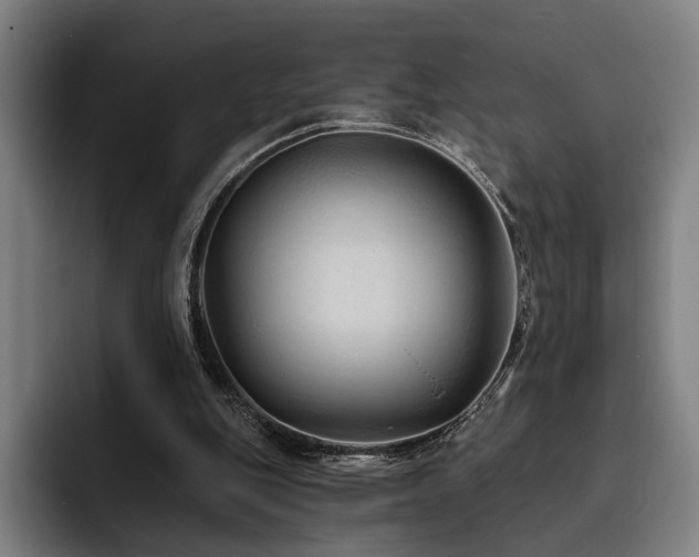 X0000093470151200710121431