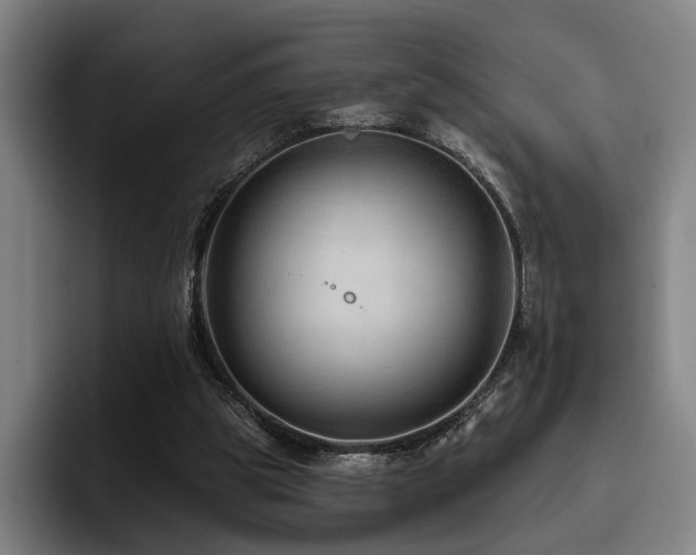 X0000093470153200710121431