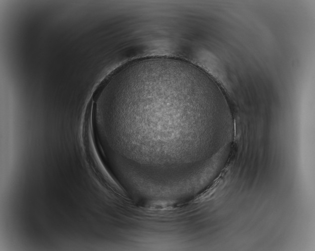 X0000093470156200710121431