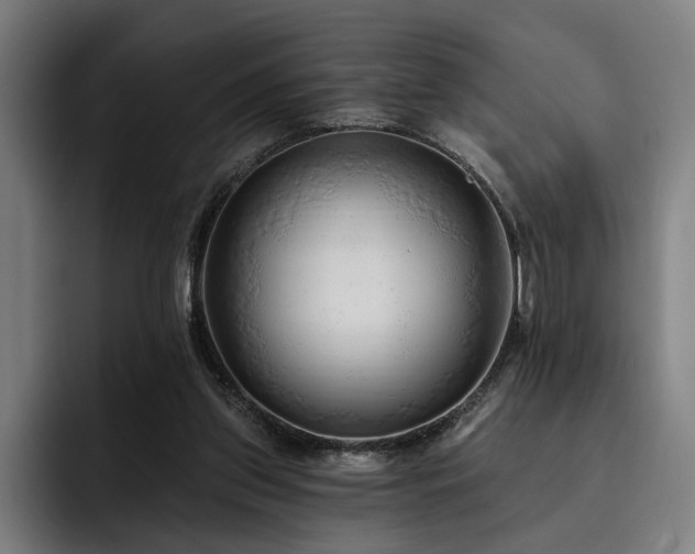 X0000093470157200710121431