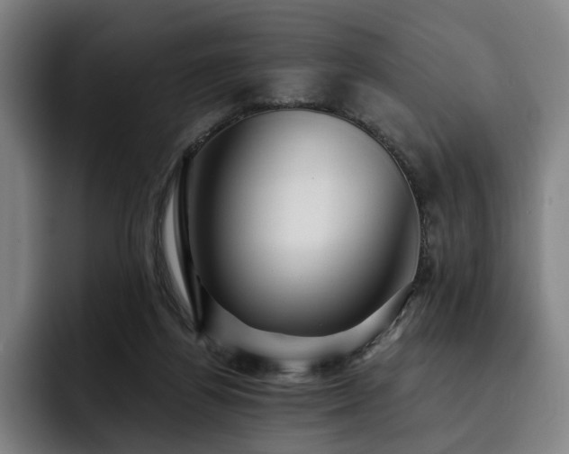 X0000093470164200710121431