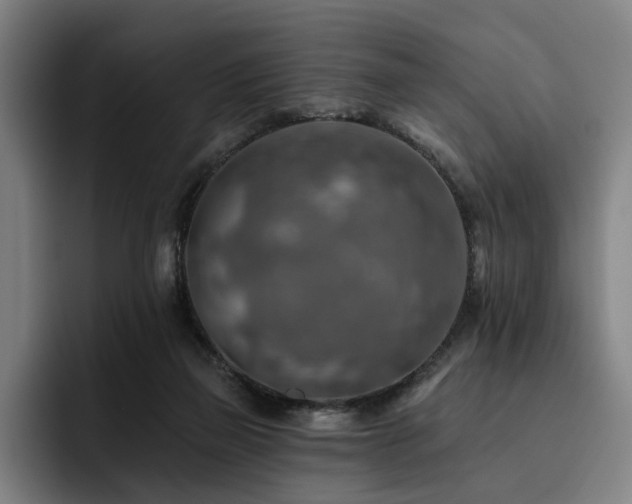 X0000093470165200710121431