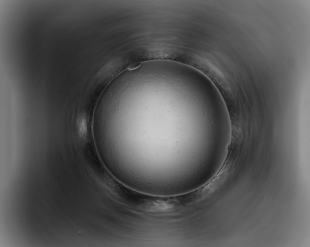 X0000093470166200710121431