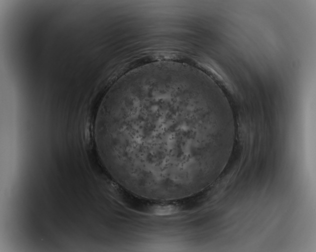 X0000093470169200710121431