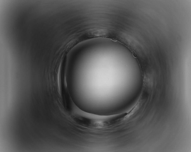 X0000093470170200710121431