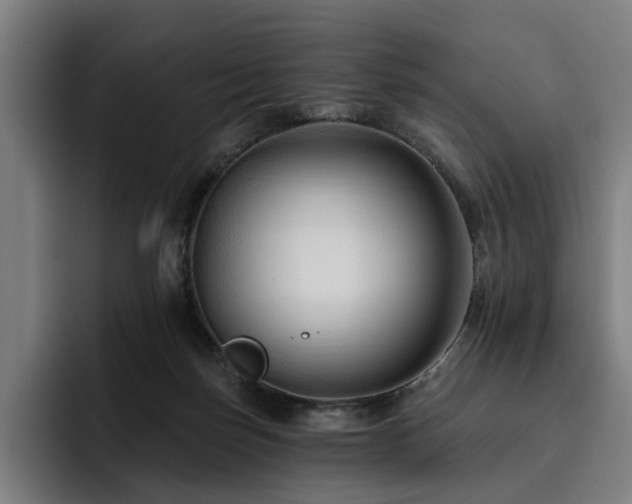 X0000093470171200710121431