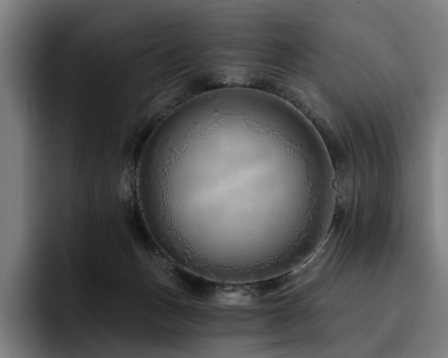 X0000093470175200710121431