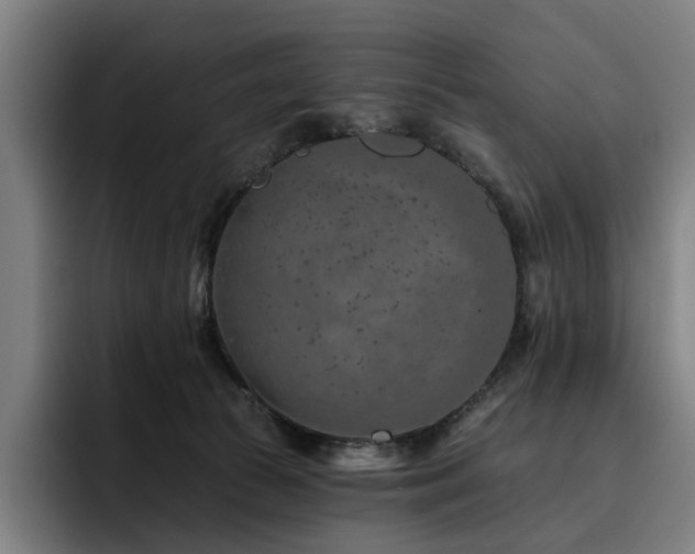 X0000093470177200710121431