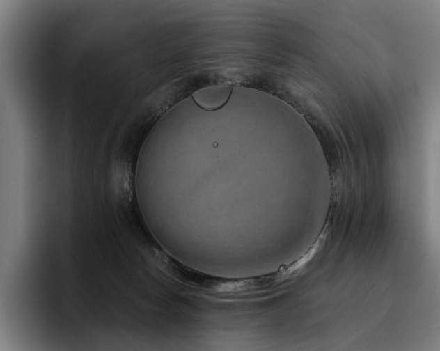 X0000093470178200710121431