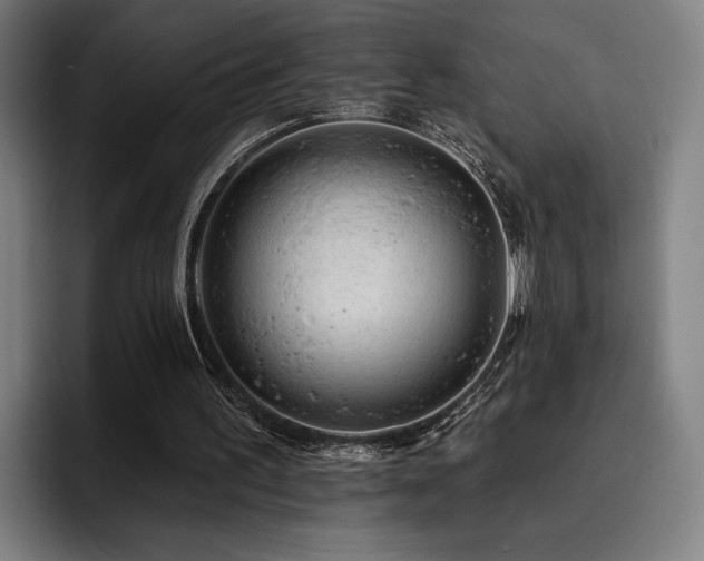 X0000093470195200710121431